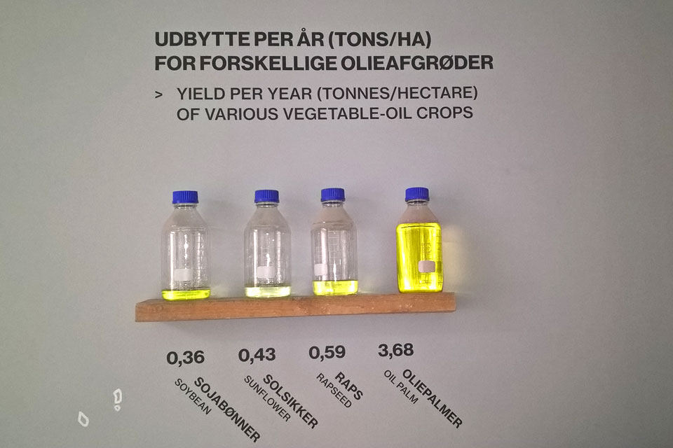 Рапс - растение будущего. Урожайность в год различных масличных культур