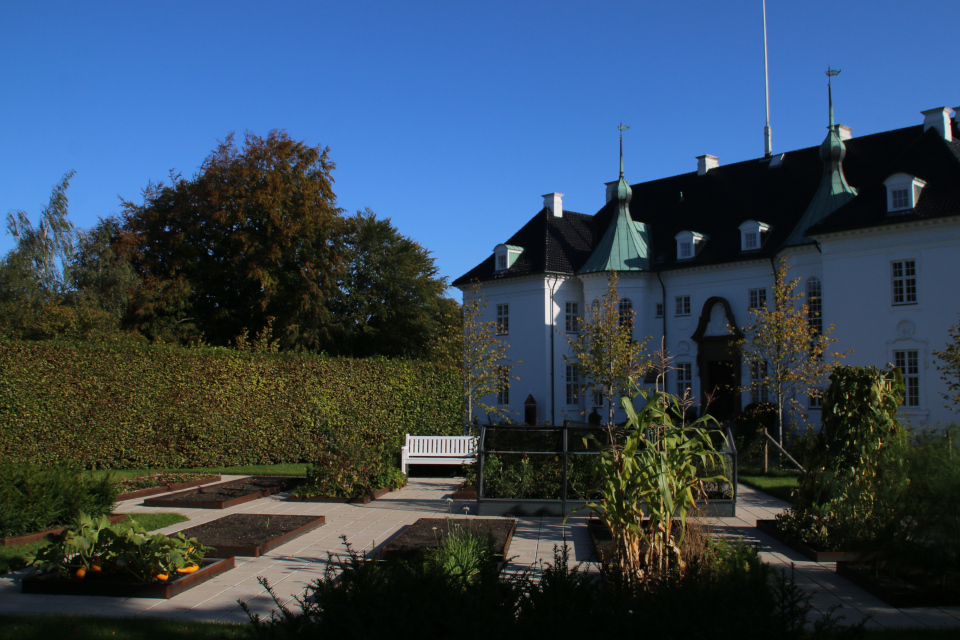 Огороды перед дворцом Марселисборг. Фото 2 июл. 2019, г. Орхус / Aarhus, Дания