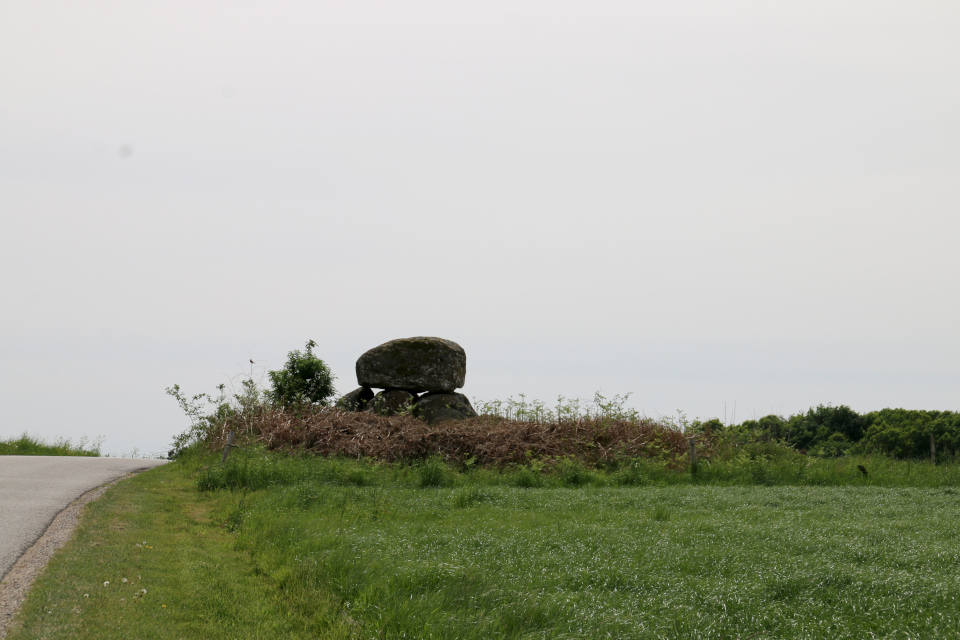 Дольмен Скйелдруп на холме возле дороги. Фото 21 мая 2008, г. Nødager, Дания