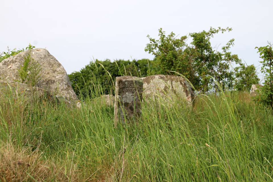 Каменный столбик возле кромлеха дольмена (Fredet Mindesmærke). http://www.fortidsmindeguide.dk/Lidt-om-fortidsmindefredning.75.0.html