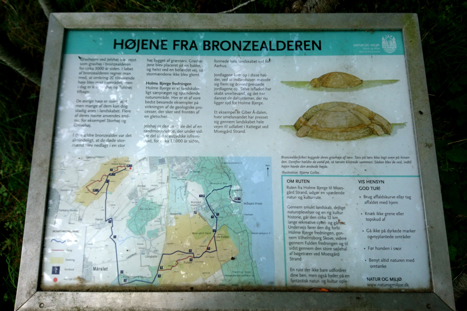 Højene fra Bronzealderen - курганы бронзового века