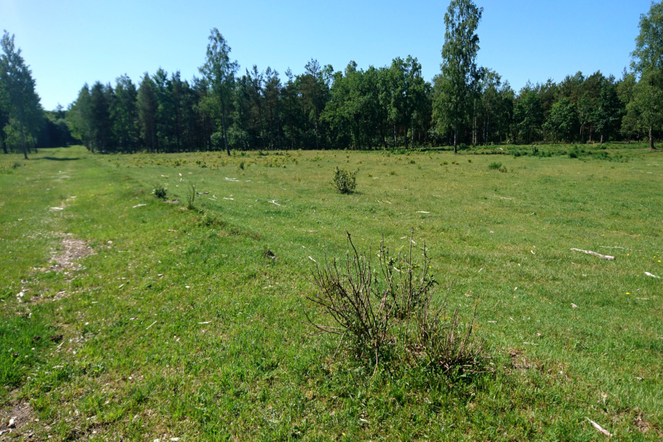 Бывшее летное поле (Rye Flyveplads), где позже размещались бараки с беженцами