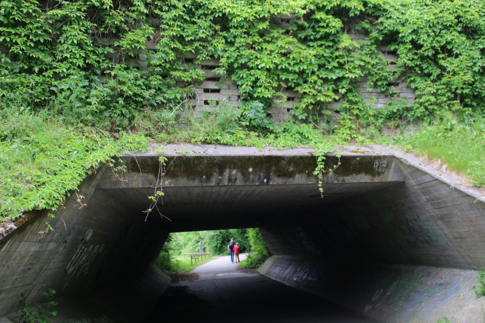 Тоннель в Холме Håndværkerparken, Дания. Фото 4 июня 2017