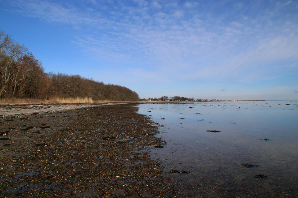 Берег моря, Лес Равнсков / Ravnskov. 9 мар. 2021, Оддер, Дания