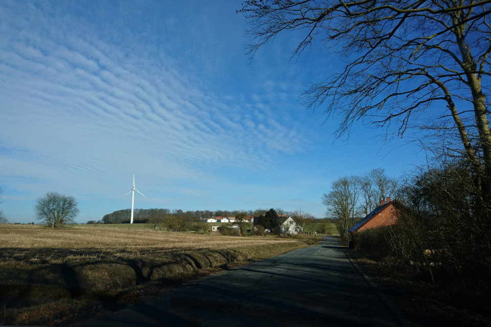 Лес Равнсков / Ravnskov. 9 мар. 2021, Оддер, Дания