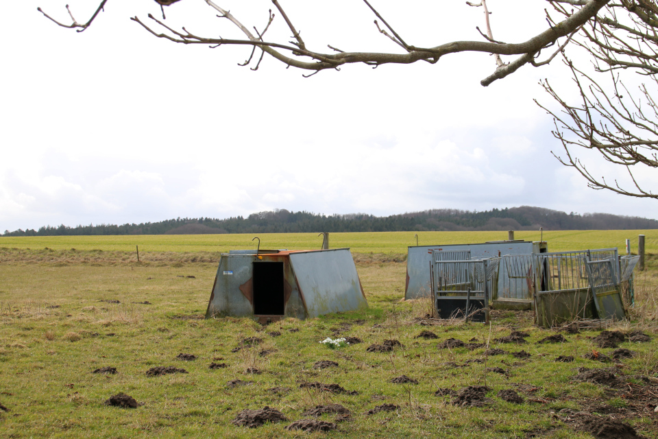 Ольструп / Ålstrup, Дания. 14 мар. 2021