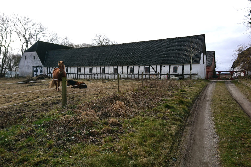 Ольструп / Ålstrup, Дания. 14 мар. 2021