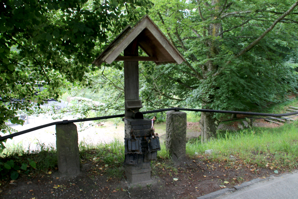 Лесопарк Охотничьи угодья в Северной Зеландии (Jægersborg Dyrehave), Дания. Фото 9 июля 2021