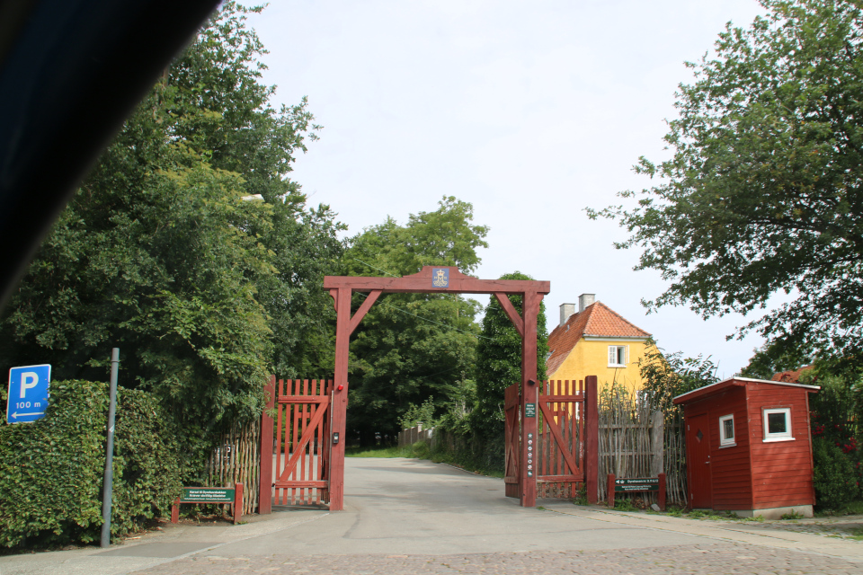 Лесопарк Охотничьи угодья в Северной Зеландии (Jægersborg Dyrehave), Дания. Юнеско. Фото 9 июля 2021