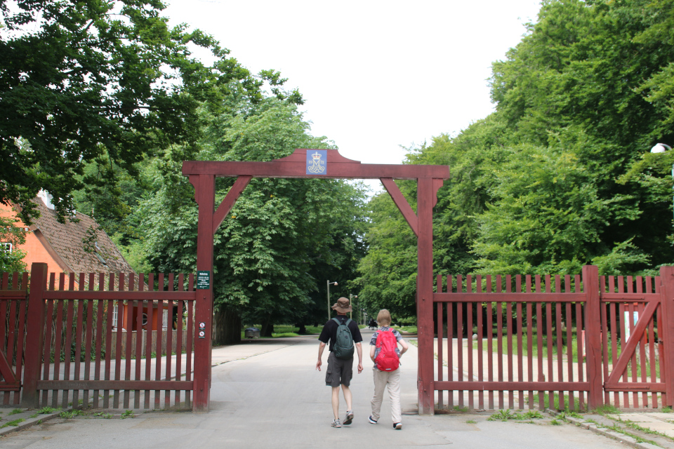 Лесопарк Охотничьи угодья в Северной Зеландии (Jægersborg Dyrehave), Дания. Юнеско. Фото 9 июля 2021