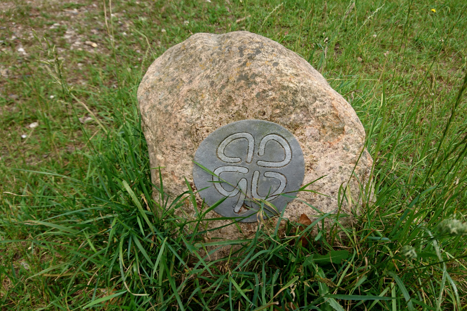 Лесопарк Охотничьи угодья в Северной Зеландии (Jægersborg Dyrehave), Дания. Фото 9 июля 2021