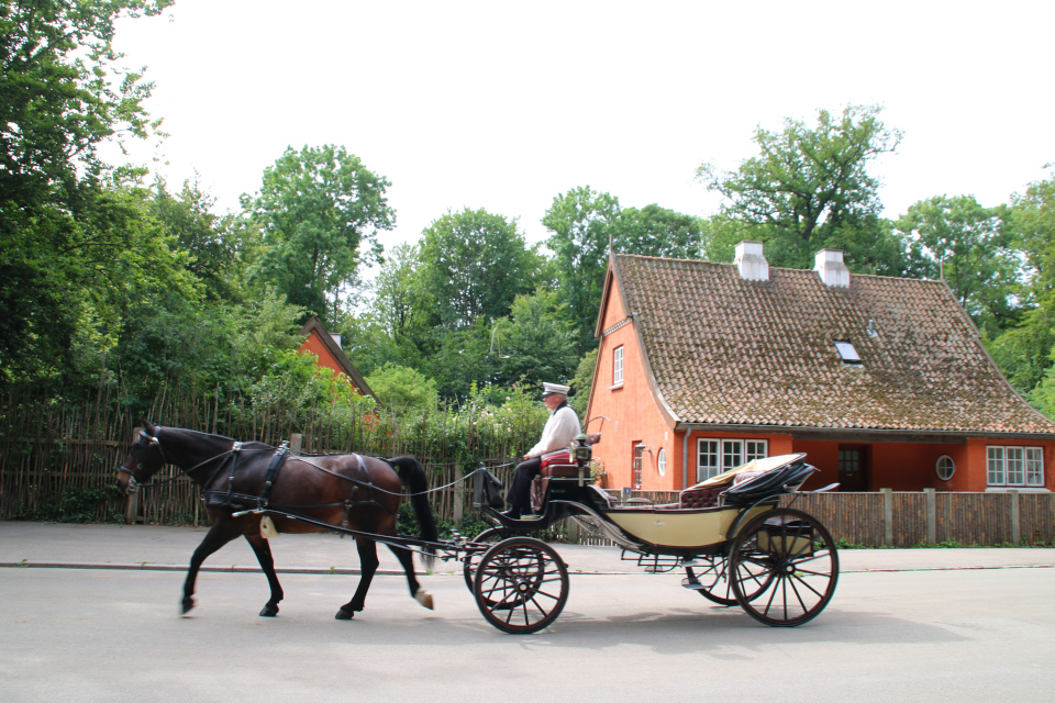 Лесопарк Охотничьи угодья в Северной Зеландии (Jægersborg Dyrehave), Дания. Юнеско. Фото 9 июля 2021