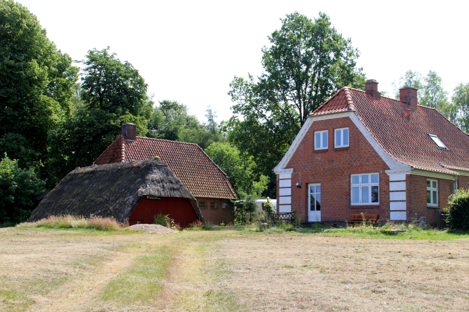 Дома работников леса. Озеро Хампен (дат. Hampen sø), Дания. Фото 18 июля 2021