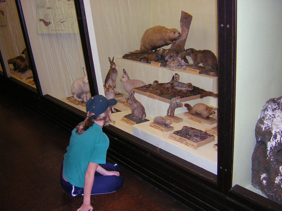 Екатерина Полякова. Музей естественной истории Орхус, Дания (Naturhistorisk Museum Aarhus). Фото 17 дек. 2004