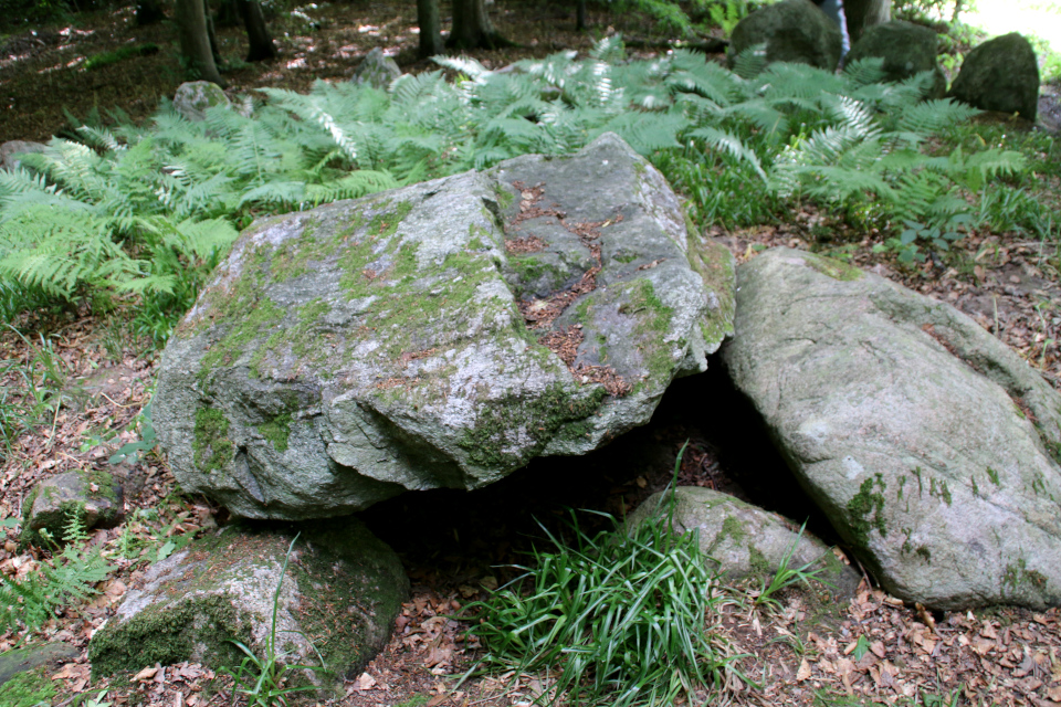 Колотые камни (rillesten). Удлиненный дольмен Колдинг (langdysse Kolding), Дания. Фото 12 июл. 2021