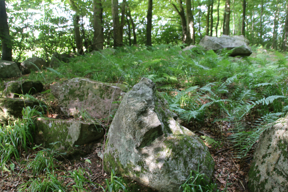 Колотые камни (rillesten). Удлиненный дольмен Колдинг (langdysse Kolding), Дания. Фото 12 июл. 2021