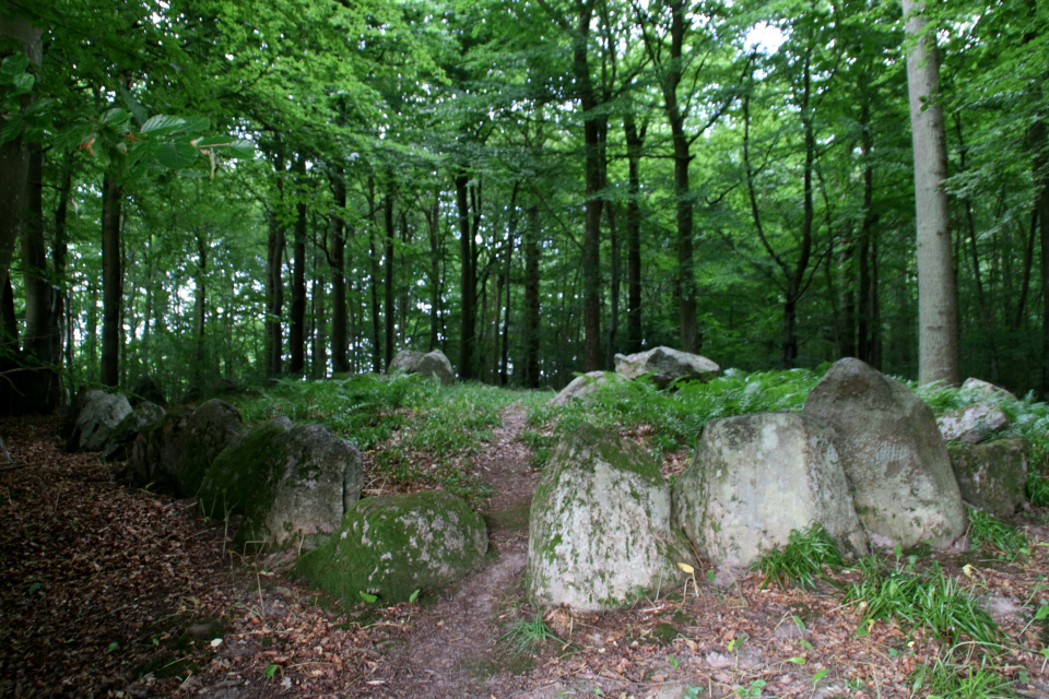 Удлиненный дольмен Колдинг (langdysse Kolding), Дания. Фото 12 июл. 2021