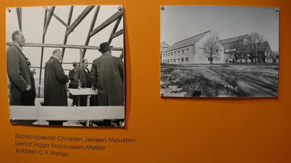 Ch. J. Mausten,Viggo R. Møller, Музей естественной истории Орхус, Дания (Naturhistorisk Museum Aarhus). Фото 29 авг. 2021