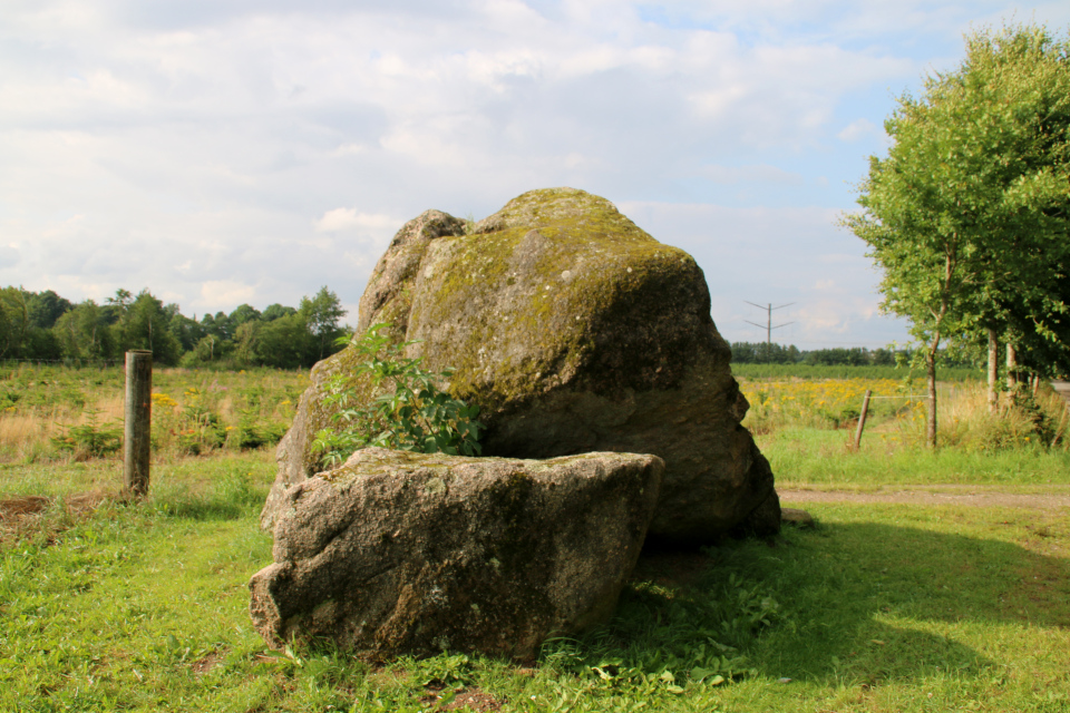 Камень Гамборггорд (Hamborggårdstenen), Бэкке, Дания. Фото 28 июл. 2021 