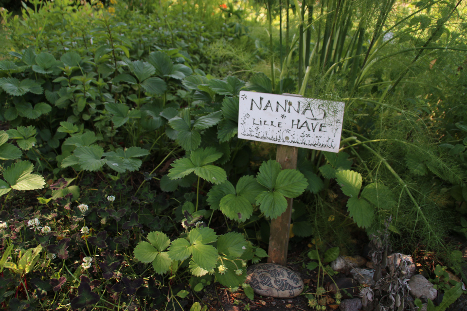 Nanna's have. Городские огороды Марселисборг (Havefællesskabet i Marselisborg Hospitalspark), г. Орхус, Дания. Фото 15 мая 2018