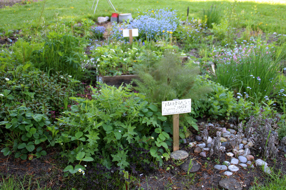 Nanna's have. Городские огороды Марселисборг (Havefællesskabet i Marselisborg Hospitalspark), г. Орхус, Дания. Фото 15 мая 2018