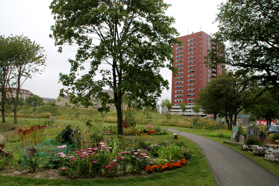 Городские огороды. Дождевой парк Спарк (Spark rain park, Marselisborg center), Орхус, Дания. Фото 2 сент. 2021