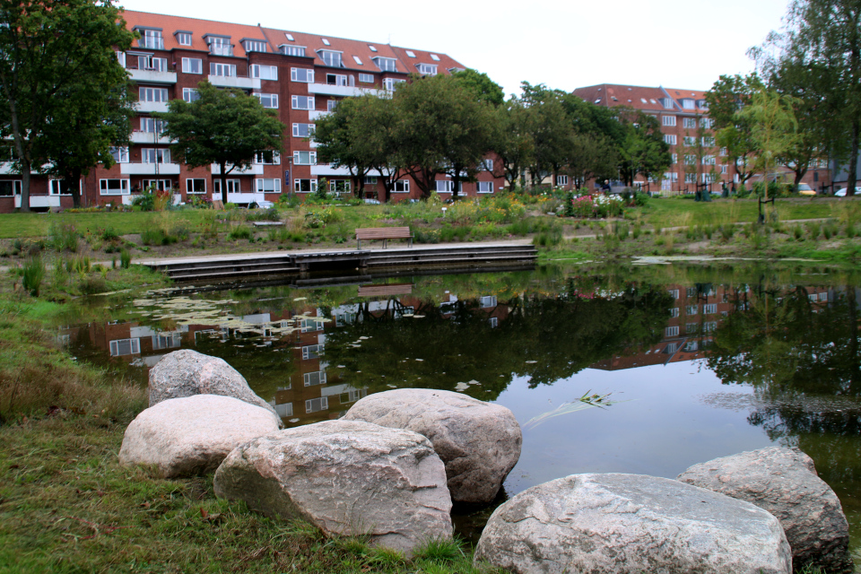 Пруд. Дождевой парк Спарк (Spark rain park, Marselisborg center), Орхус, Дания. Фото 2 сент. 2021