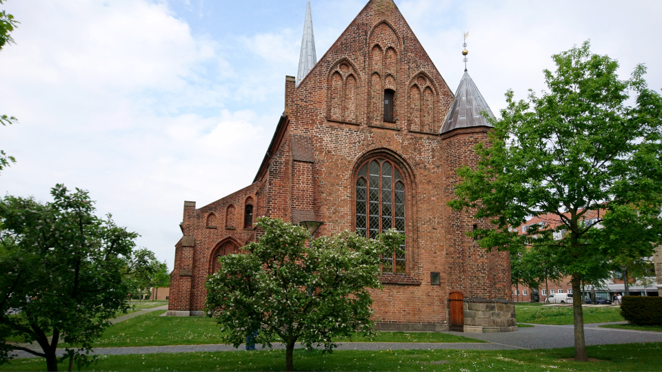 Айва. Часовня францисканского монастыря Хорсенс (Horsens Klosterkirke), Дания. 21 мая 2019