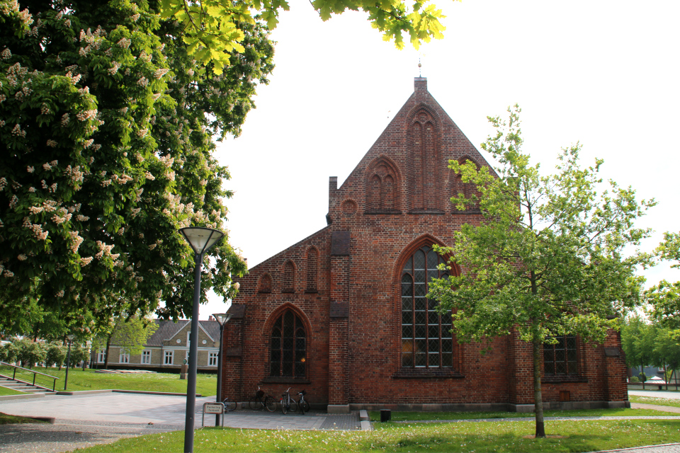 Конский каштан. Часовня францисканского монастыря Хорсенс (Horsens Klosterkirke), Дания. 21 мая 2019