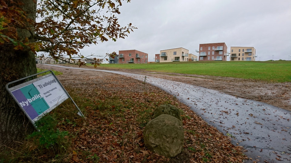 Бюгхольм Нёрремарк (Bygholm Nørremark), Хорсенс Дания. Фото 25 окт. 2020