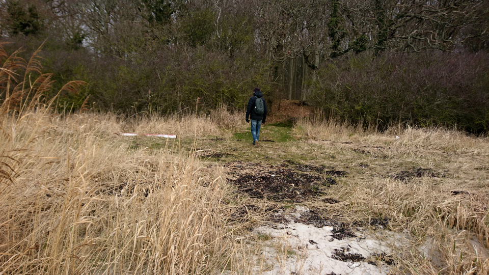 Гюллингнэс (Gyllingnæs), фьорд Хорсенс. Дания 4 мар. 2022