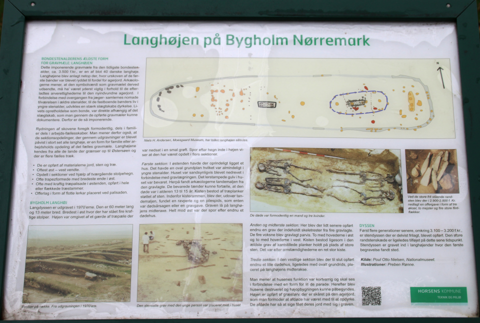 Длинный курган Бюгхольм (Langhøj Bygholm Nørremark), Хорсенс Дания. Фото 25 окт. 2020