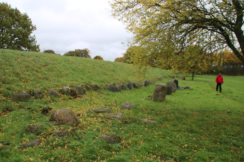 Длинный курган Бюгхольм (Langhøj Bygholm Nørremark), Хорсенс Дания. Фото 25 окт. 2020