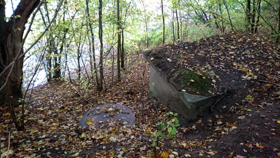 Озеро Бюгхольм (Bygholm sø), Хорсенс, Дания. Фото 25 окт. 20