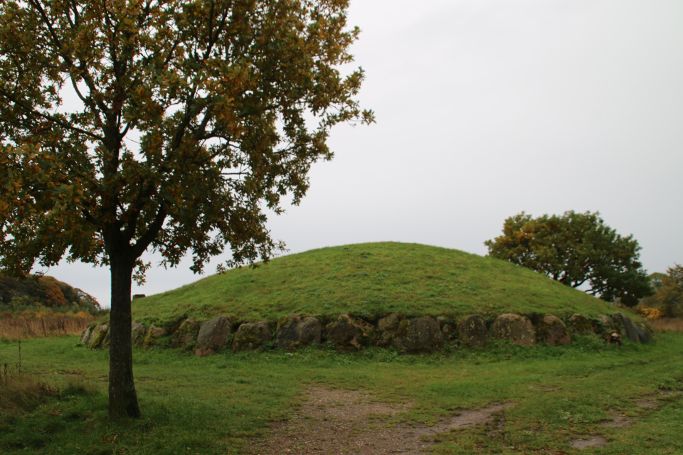 Коридорная гробница Грёнхой (Jættestuen Grønhøj), Хорсенс, Дания. Фото 25 окт. 2020