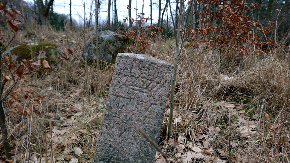 Охраняемый объект FM. Дольмены Клемструп (Klemstrup Skov Dysser), Рюомгорд, Дания. 24 фев. 2021