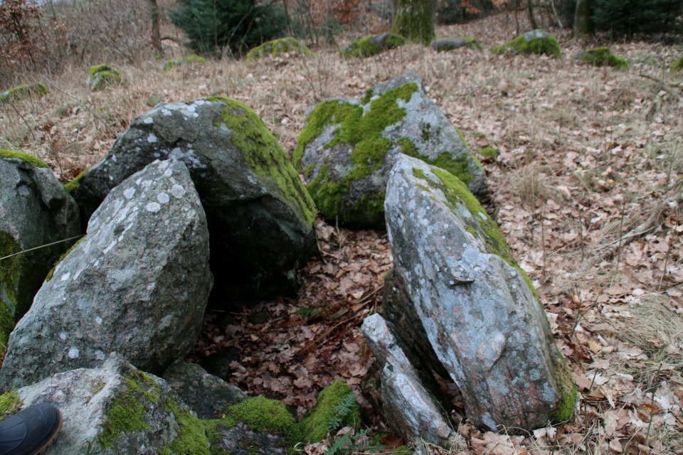 Дольмены Клемструп (Klemstrup Skov Dysser), Рюомгорд, Дания. 24 фев. 2021