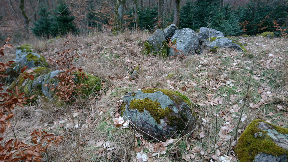 Дольмены Клемструп (Klemstrup Skov Dysser), Рюомгорд, Дания. 24 фев. 2021