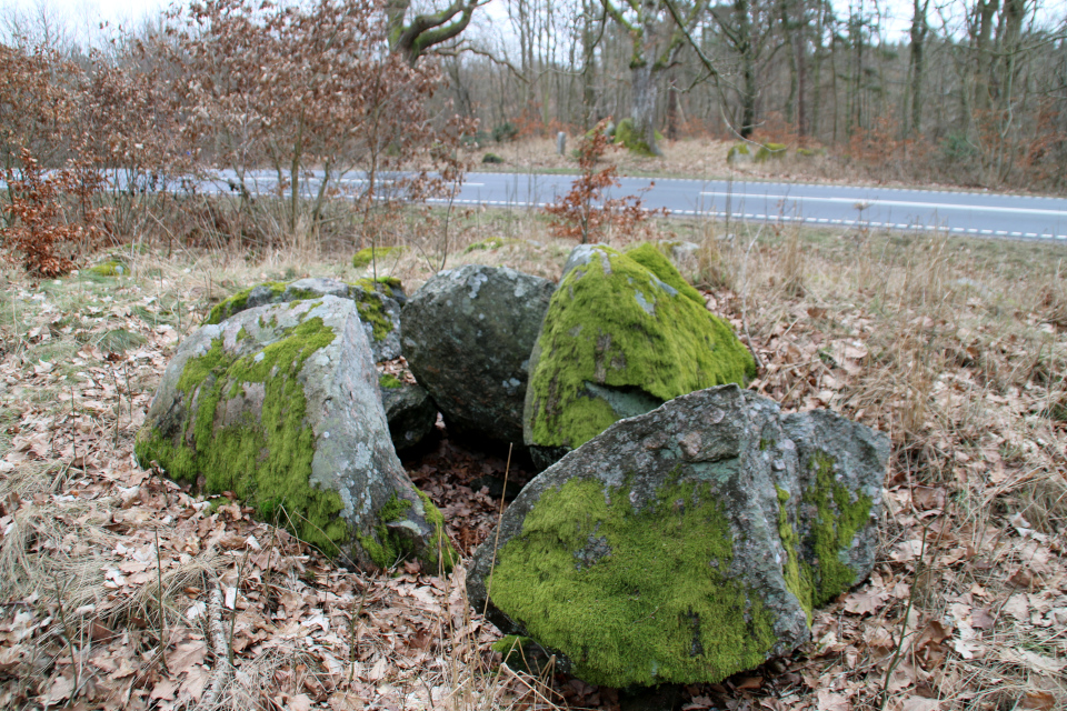 Дольмены Клемструп (Klemstrup Skov Dysser), Рюомгорд, Дания. 24 фев. 2021