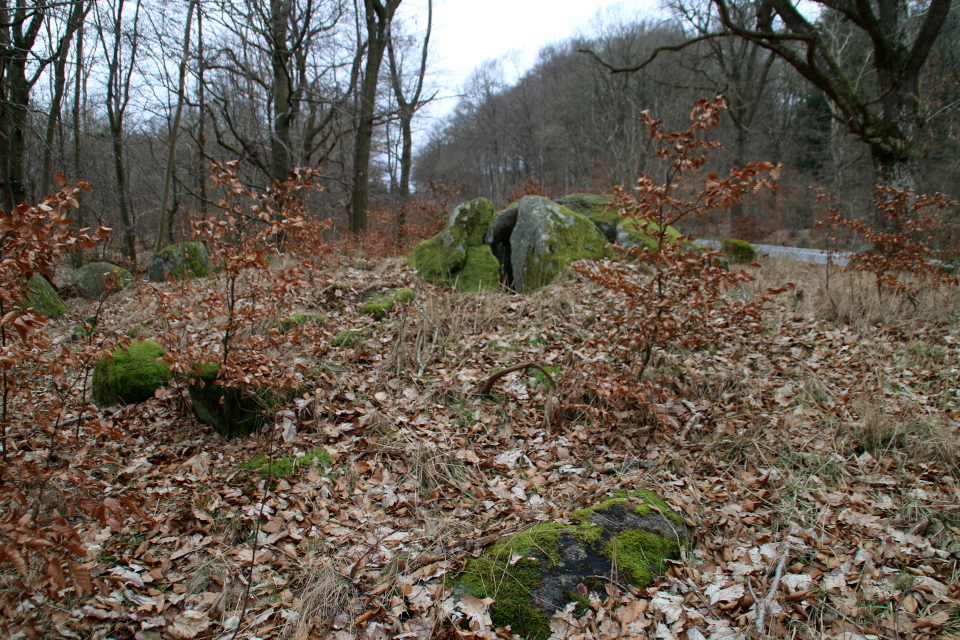 Дольмены Клемструп (Klemstrup Skov Dysser), Рюомгорд, Дания. 24 фев. 2021