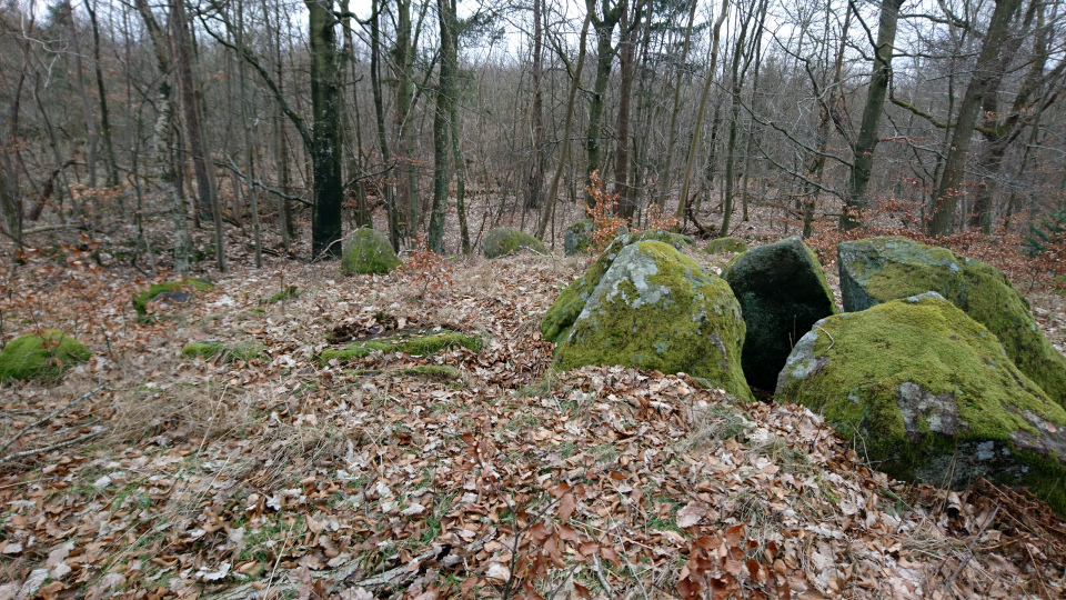 Дольмены Клемструп (Klemstrup Skov Dysser), Рюомгорд, Дания. 24 фев. 2021