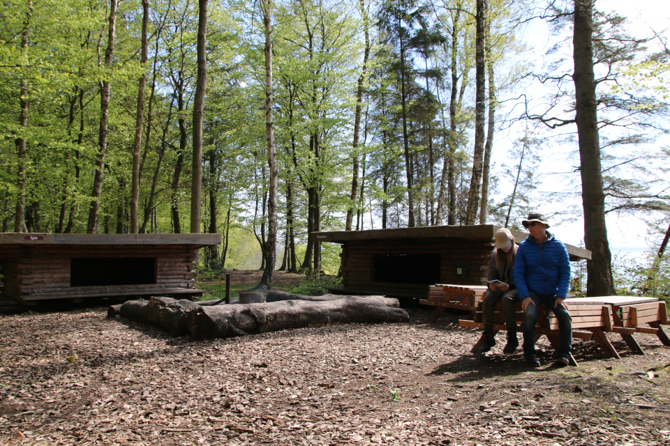 Shelter. Трельде-Нэс (Trelde Næs), Фредерисия, Дания. 7 мая 2023