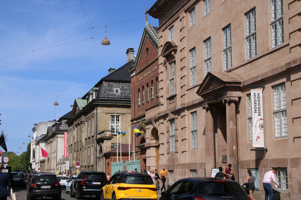 Medicinsk museum. ул. Бредгаде 28, Копенгаген, Дания. 9 июня 2023 